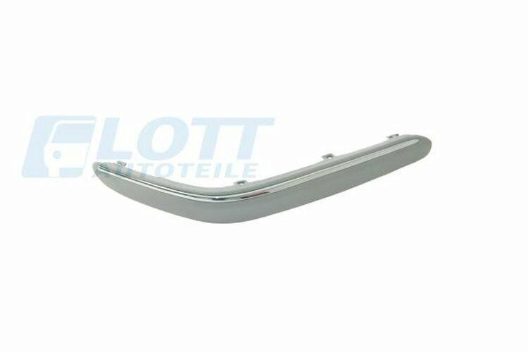 Trim/Protective Strip, bumper