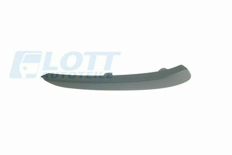 Trim/Protective Strip, bumper Premium