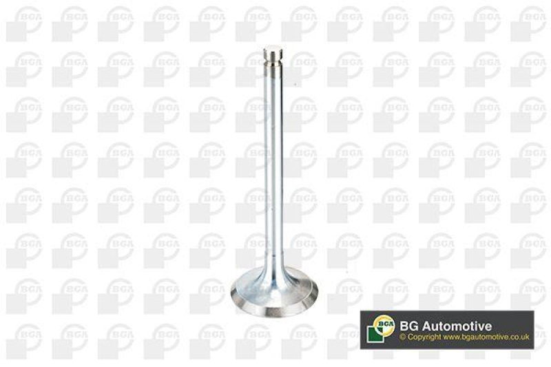 BGA Intake Valve