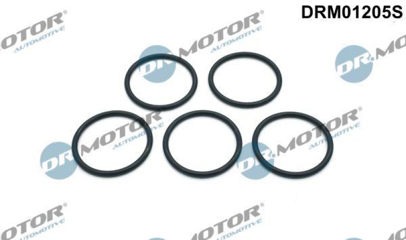 Dr.Motor Automotive Dichtungssatz, Wasserpumpe