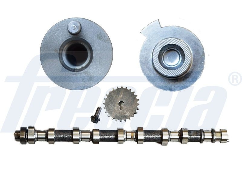 FRECCIA Camshaft