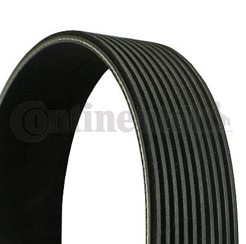 CONTINENTAL CTAM V-Ribbed Belt