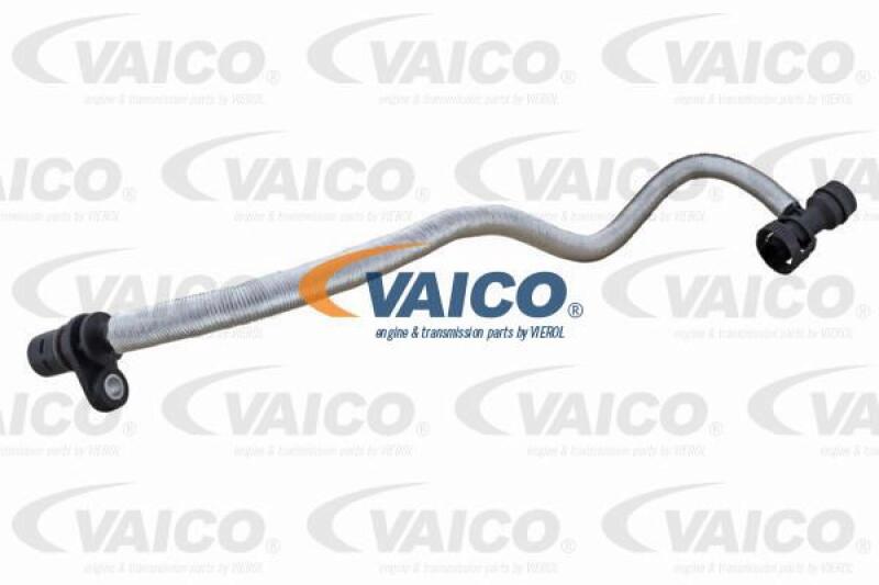 VAICO Hose, crankcase breather Original VAICO Quality