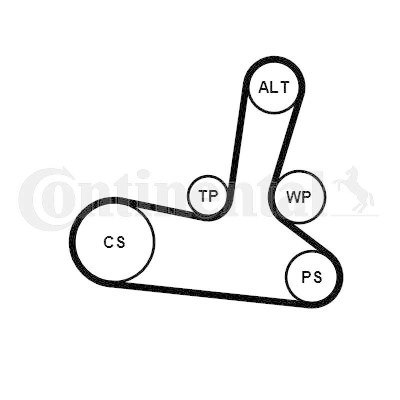 CONTINENTAL CTAM Wasserpumpe + Keilrippenriemensatz