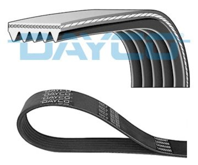 DAYCO V-Ribbed Belt