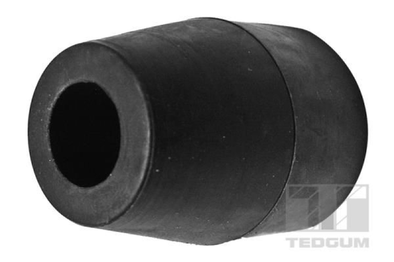 TEDGUM Mounting, control/trailing arm