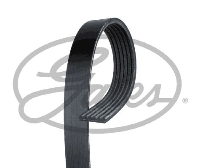 GATES V-Ribbed Belt Micro-V&reg;