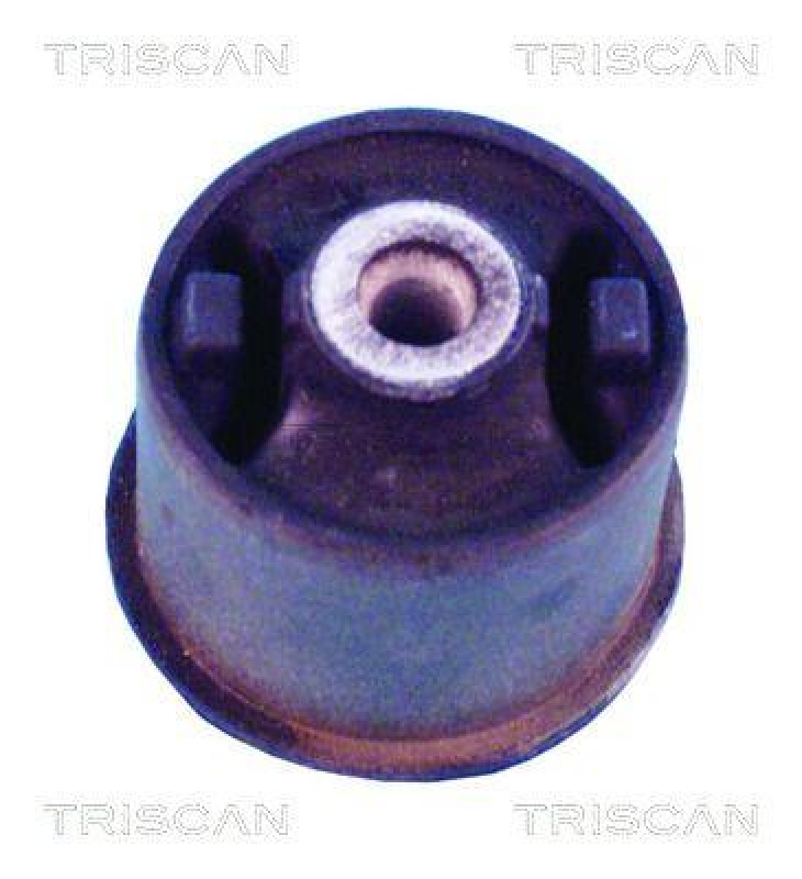 TRISCAN Mounting, axle beam