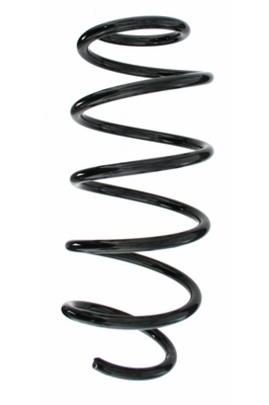 SPIDAN Suspension Spring