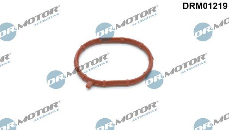 Dr.Motor Automotive Dichtring, Lader