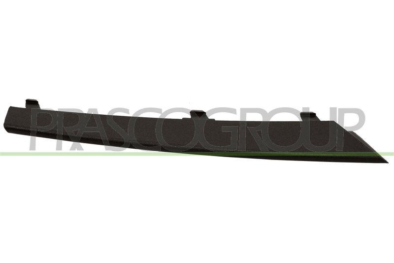 Trim/Protective Strip, radiator grille Premium