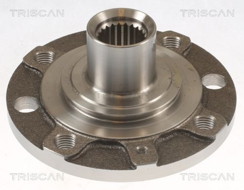 TRISCAN Wheel Hub