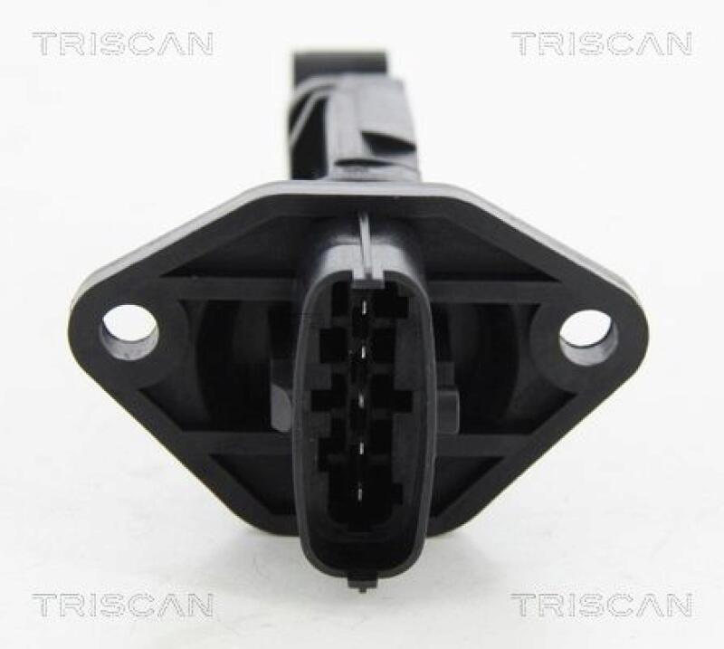 TRISCAN Air Mass Sensor