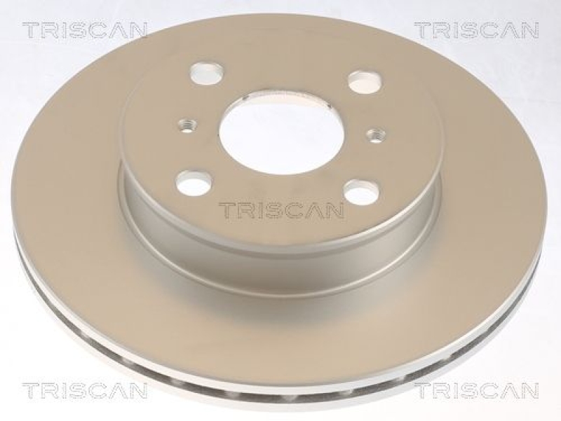2x TRISCAN Brake Disc