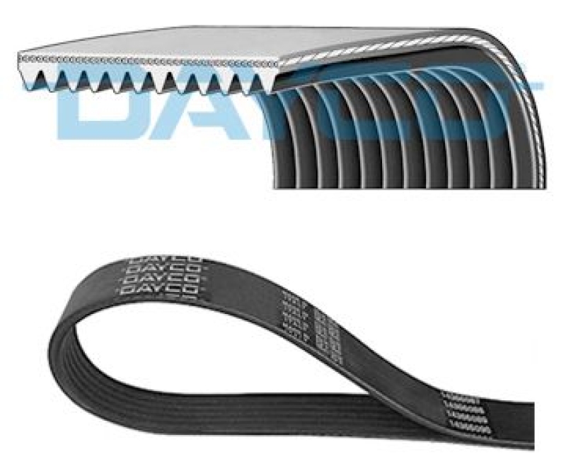 DAYCO V-Ribbed Belt