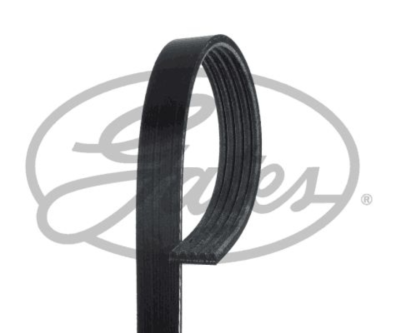 GATES V-Ribbed Belt Micro-V®