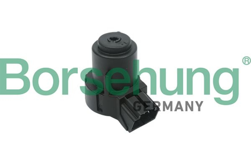 Borsehung Ignition Switch