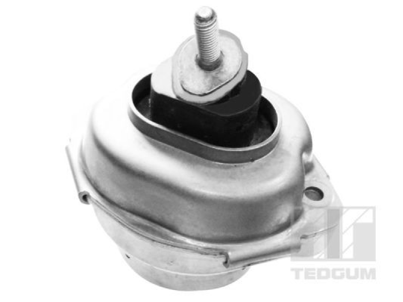 TEDGUM Mounting, engine