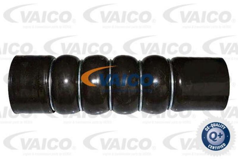 VAICO Charger Air Hose Q+, original equipment manufacturer quality