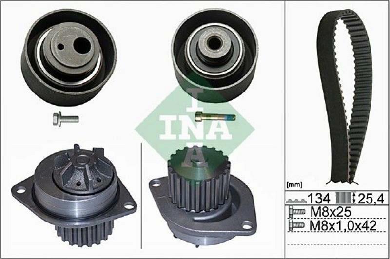 INA Water Pump & Timing Belt Set