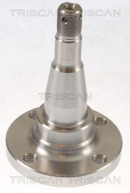 TRISCAN Wheel Hub