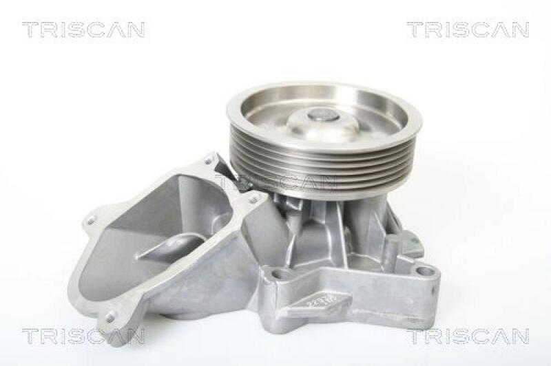 TRISCAN Water Pump