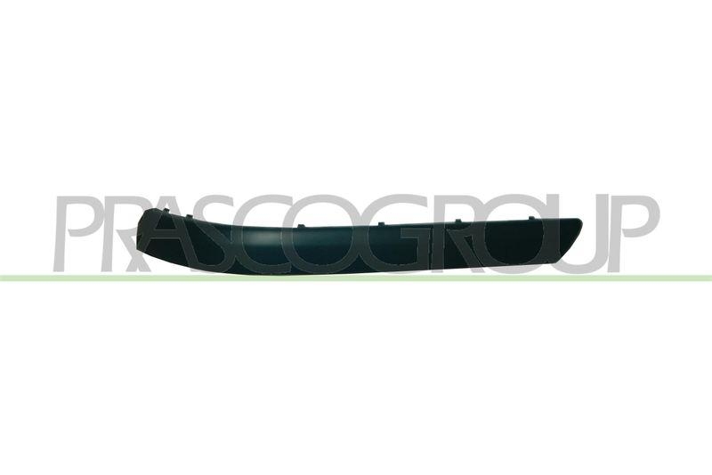 Trim/Protective Strip, bumper