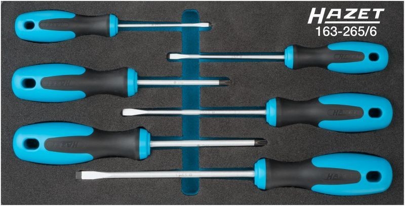 HAZET Screwdriver Set