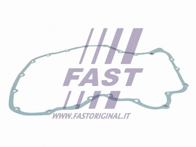 FAST Dichtung, Steuergehäuse