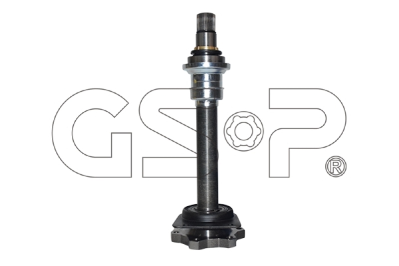 GSP Steckwelle, Differential