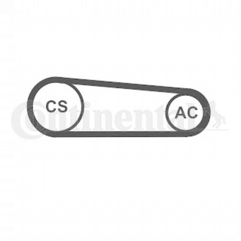 CONTINENTAL CTAM Keilrippenriemensatz