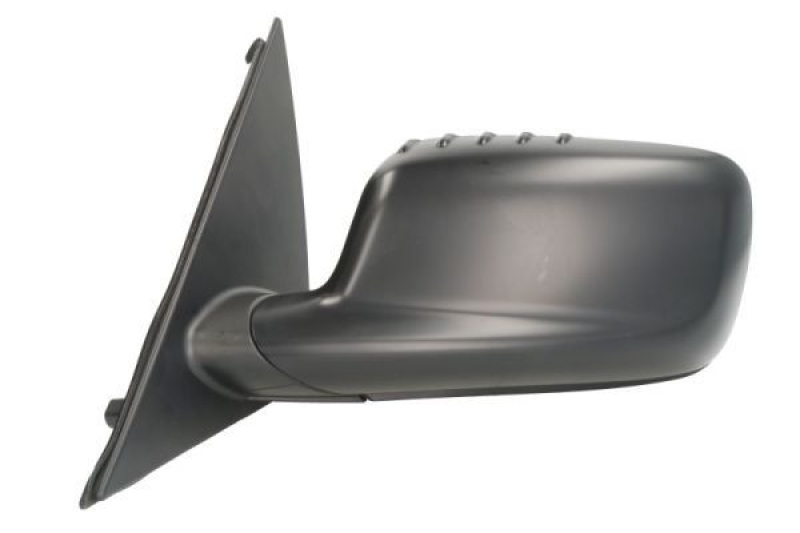 BLIC Exterior Mirror