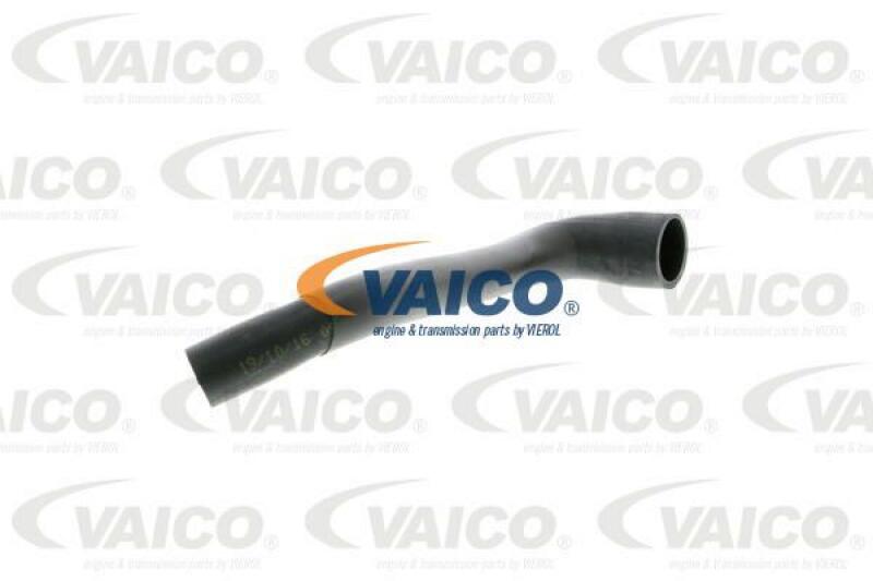 VAICO Hose, cylinder head cover breather Original VAICO Quality