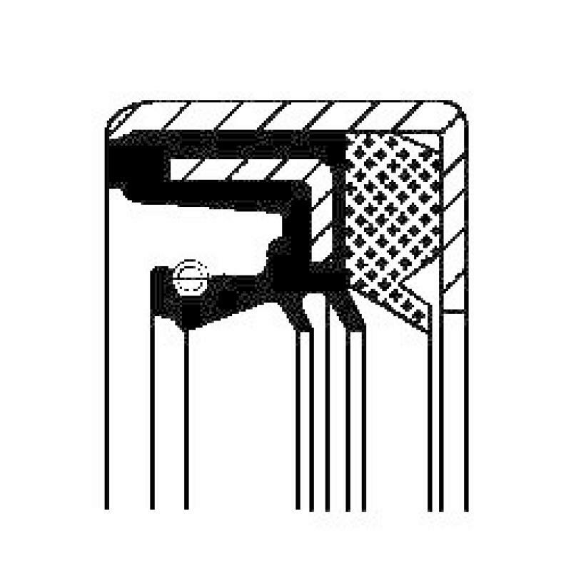 CORTECO Shaft Seal, differential