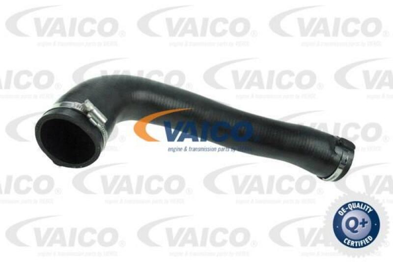 VAICO Charger Air Hose Q+, original equipment manufacturer quality