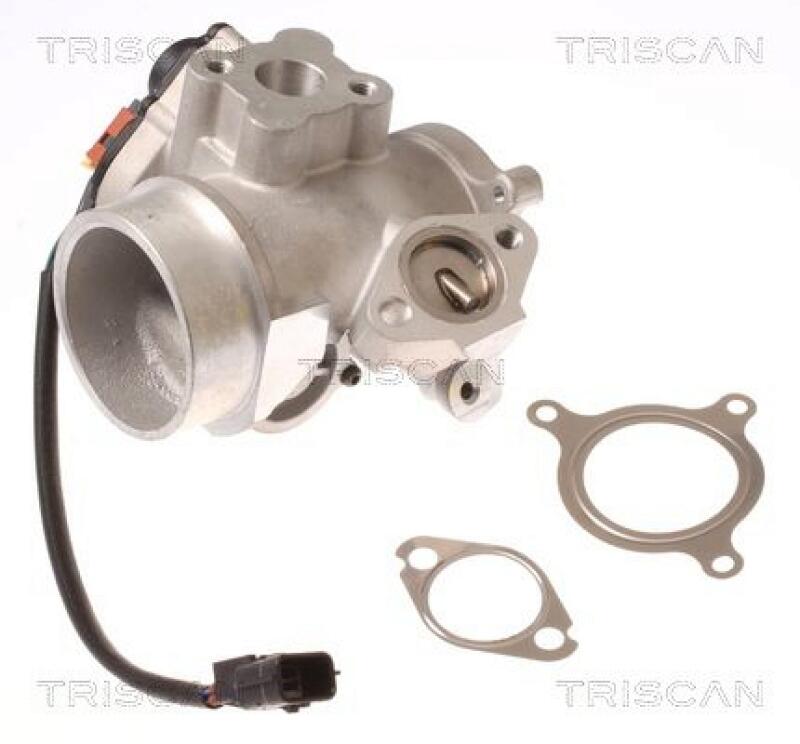 TRISCAN EGR Valve