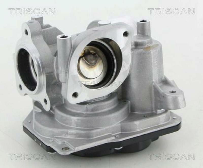 TRISCAN EGR Valve