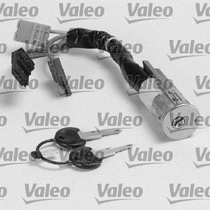 VALEO Steering Lock