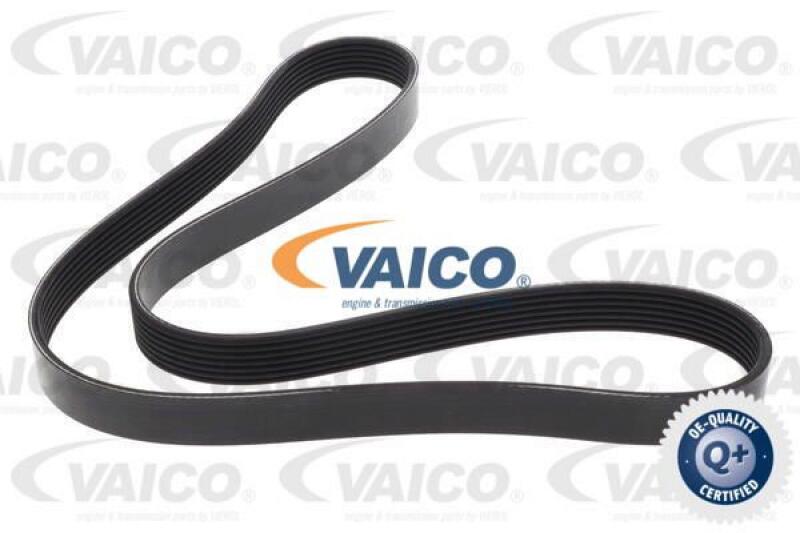 VAICO V-Ribbed Belt Original VAICO Quality