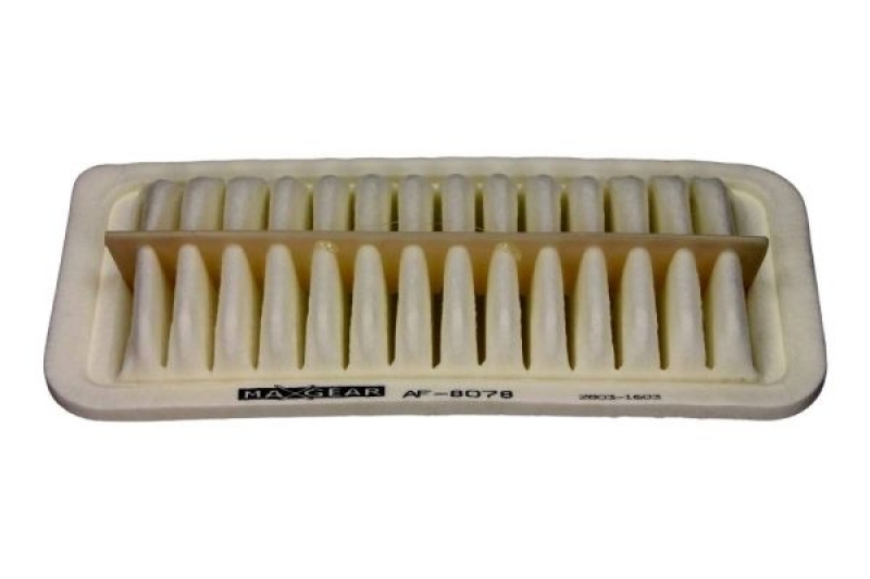 MAXGEAR Air Filter