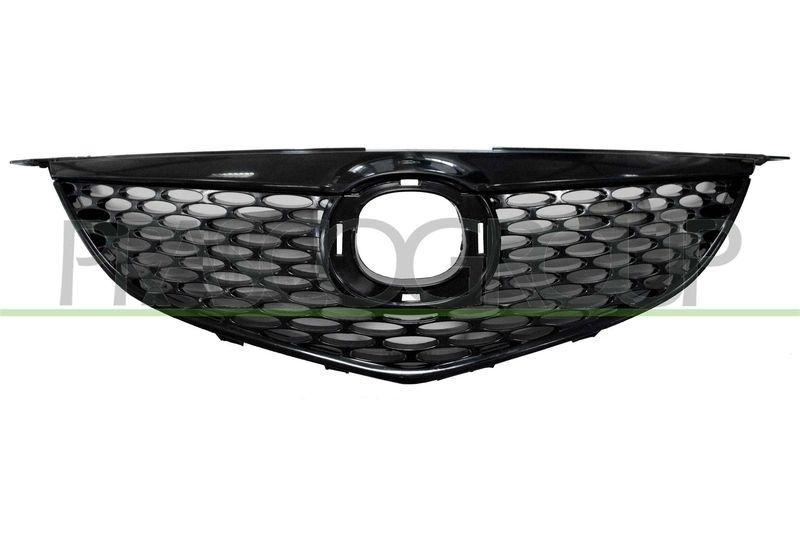 Radiator Grille Premium