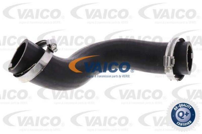 VAICO Charger Air Hose Q+, original equipment manufacturer quality