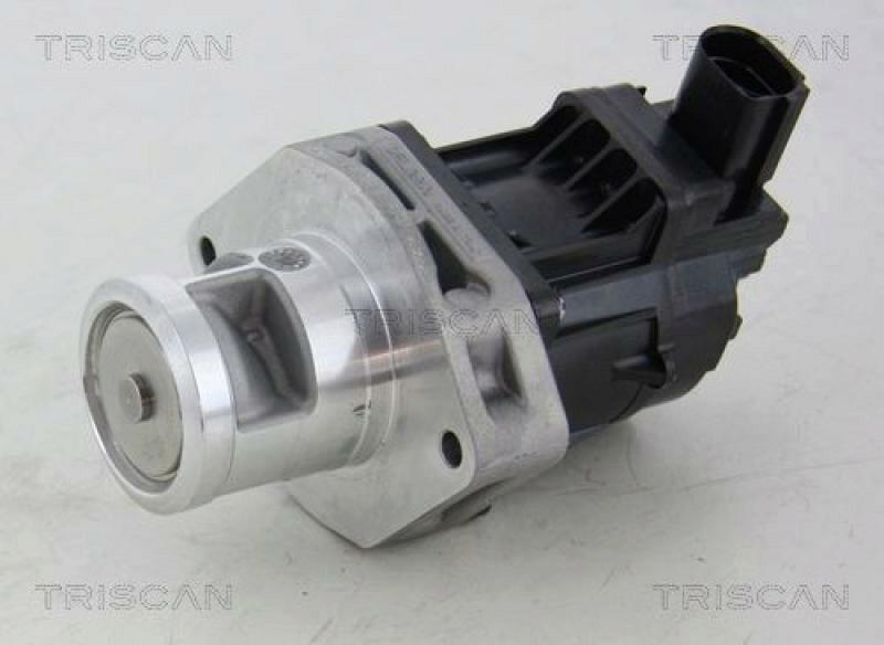 TRISCAN EGR Valve