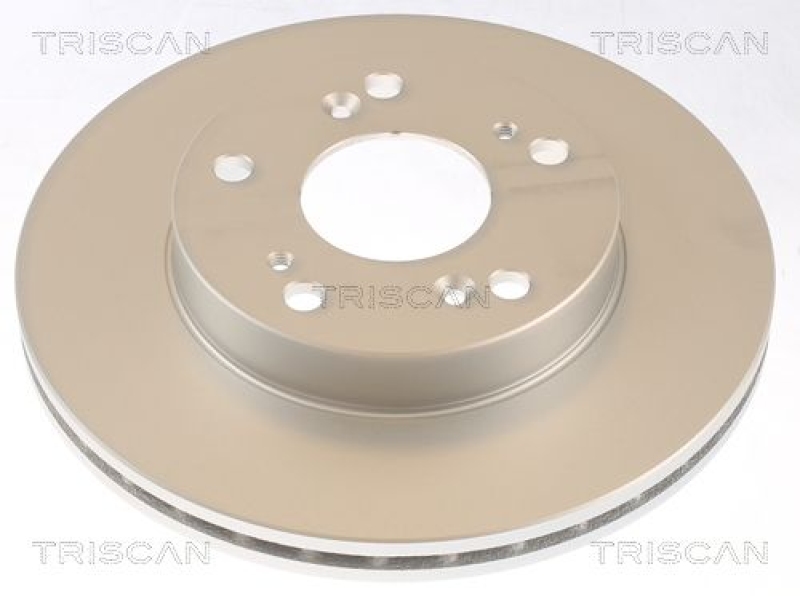 2x TRISCAN Brake Disc