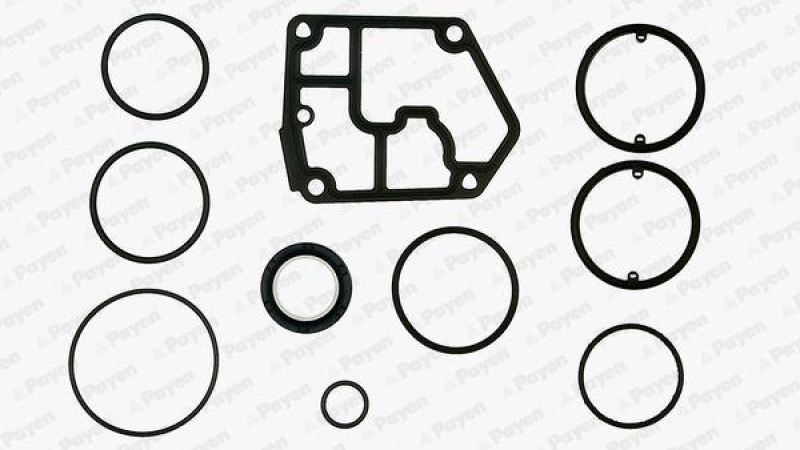 PAYEN Gasket Set, crank case