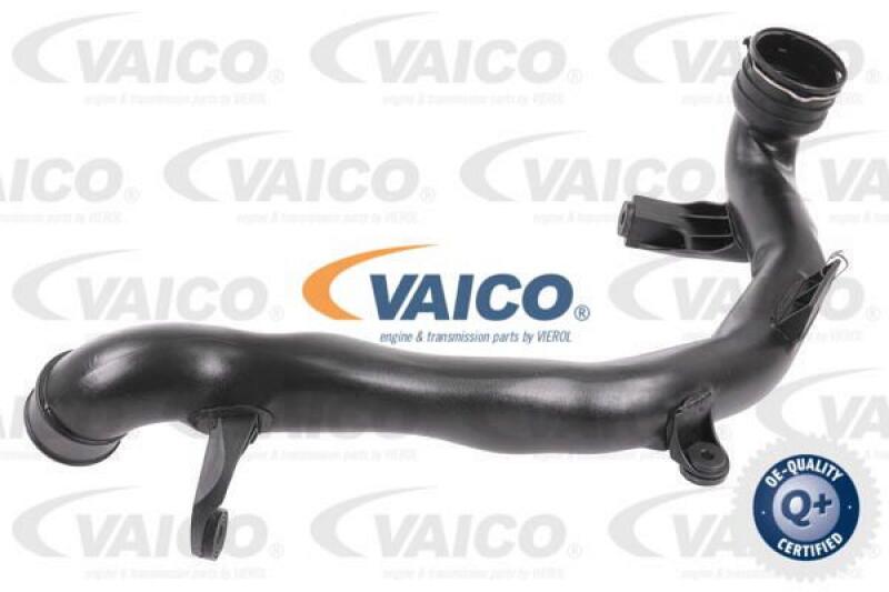 VAICO Charger Air Hose Q+, original equipment manufacturer quality