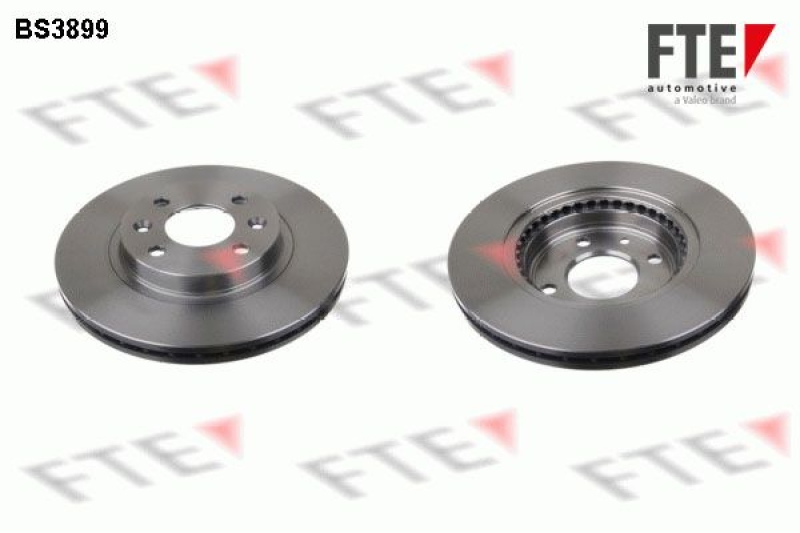 2x FTE Brake Disc