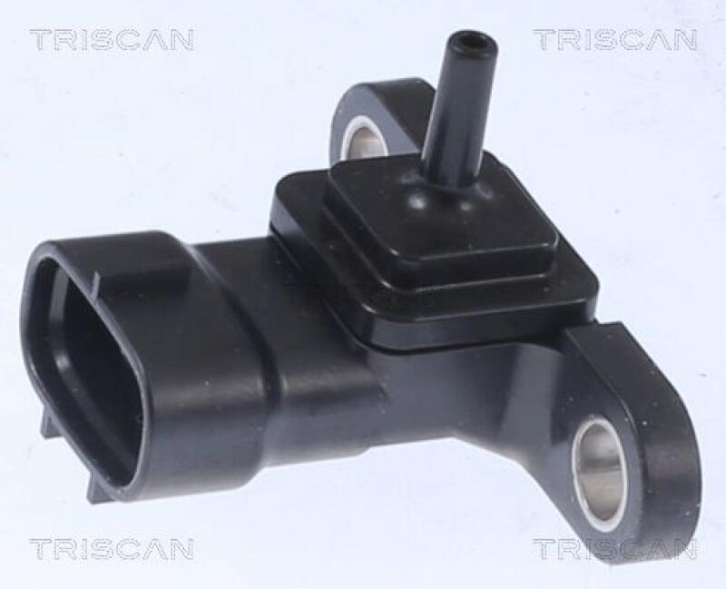 TRISCAN EGR Valve