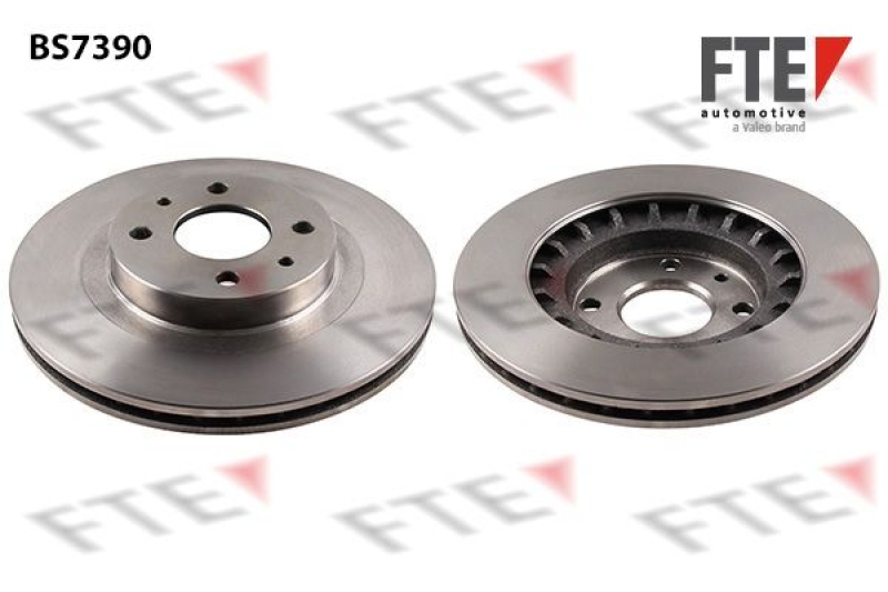 2x FTE Brake Disc