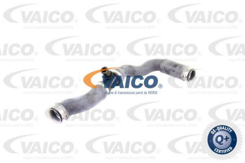 VAICO Radiator Hose Q+, original equipment manufacturer quality